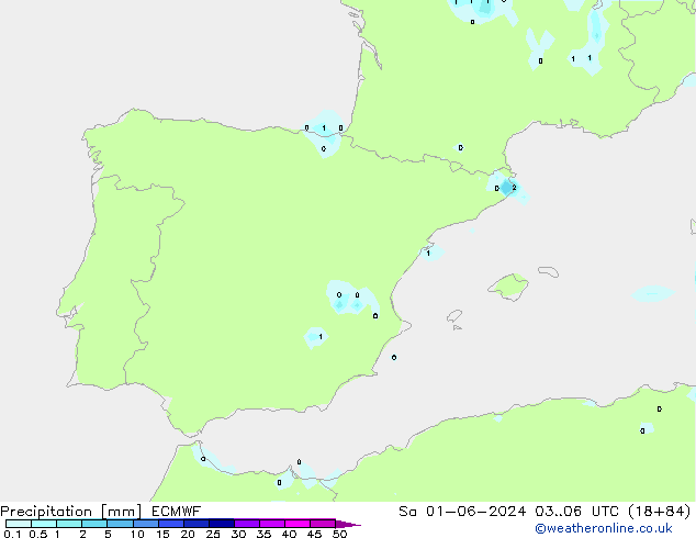 Precipitation ECMWF Sa 01.06.2024 06 UTC