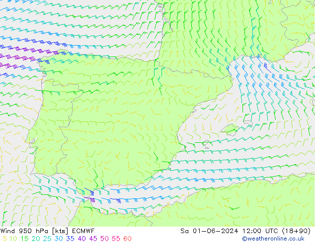  950 hPa ECMWF  01.06.2024 12 UTC