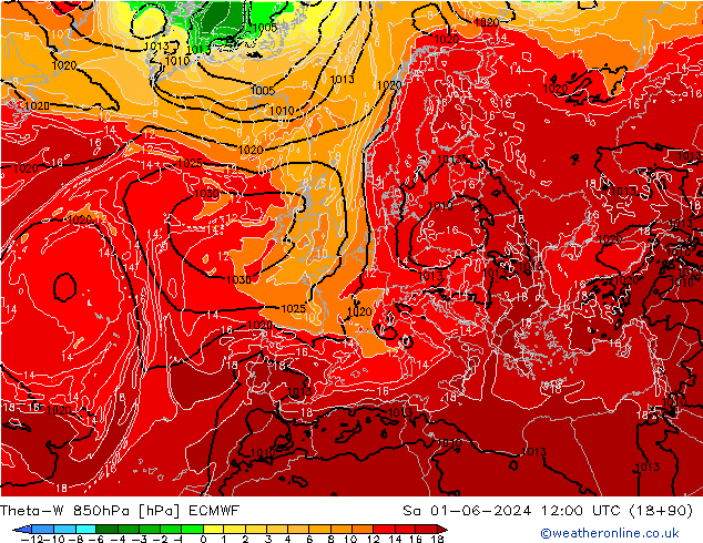 Theta-W 850hPa ECMWF so. 01.06.2024 12 UTC