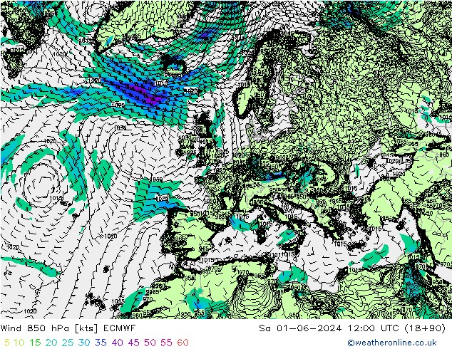 ветер 850 гПа ECMWF сб 01.06.2024 12 UTC