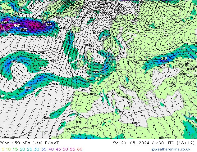 Wind 950 hPa ECMWF wo 29.05.2024 06 UTC