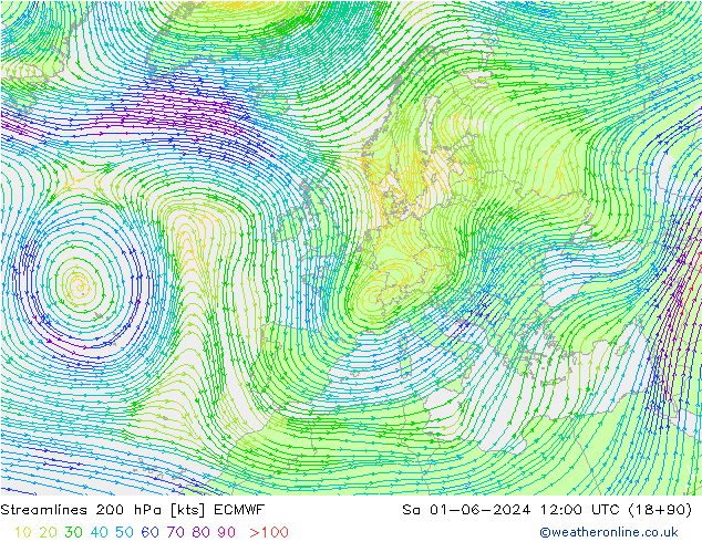 Linea di flusso 200 hPa ECMWF sab 01.06.2024 12 UTC