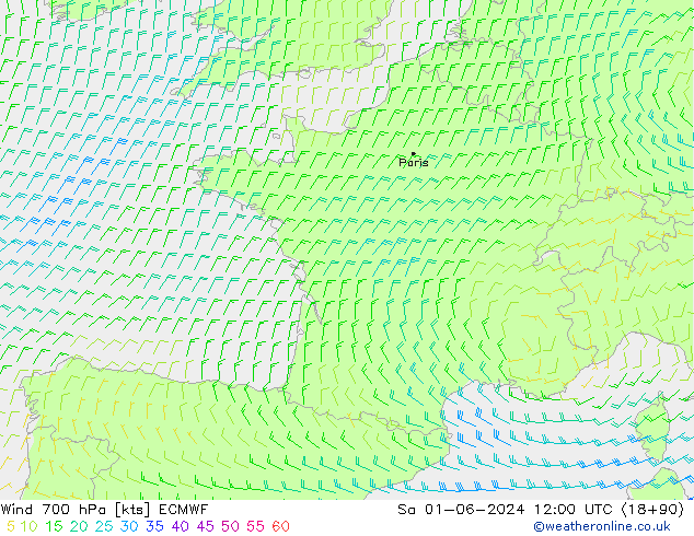 Wind 700 hPa ECMWF Sa 01.06.2024 12 UTC