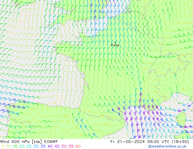 Wind 900 hPa ECMWF Fr 31.05.2024 06 UTC