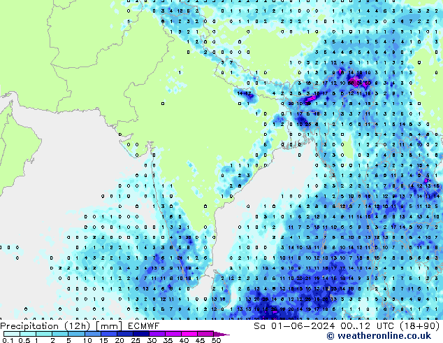 Precipitação (12h) ECMWF Sáb 01.06.2024 12 UTC