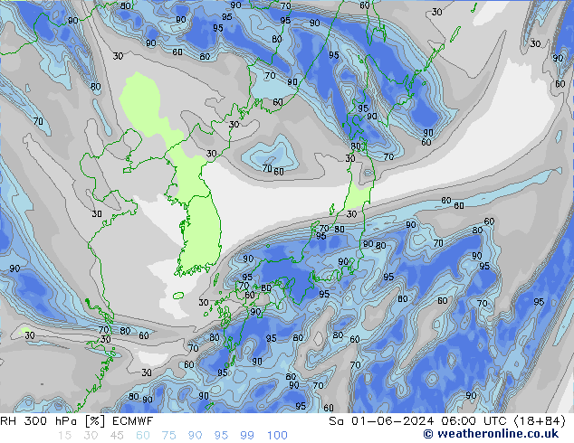 RH 300 hPa ECMWF  01.06.2024 06 UTC