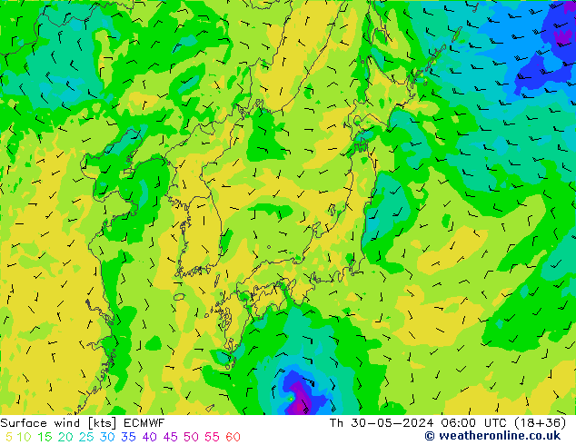 Surface wind ECMWF Th 30.05.2024 06 UTC