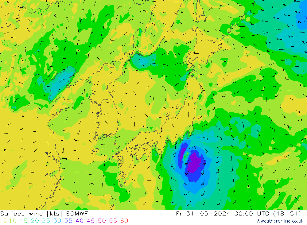 Prec 6h/Wind 10m/950 ECMWF пт 31.05.2024 00 UTC