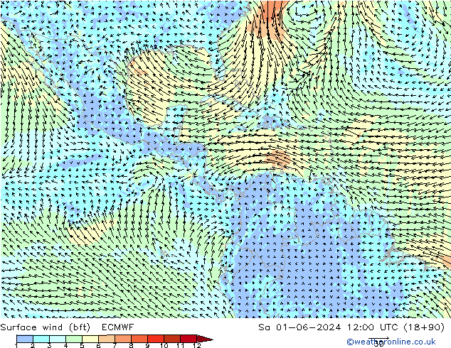 wiatr 10 m (bft) ECMWF so. 01.06.2024 12 UTC