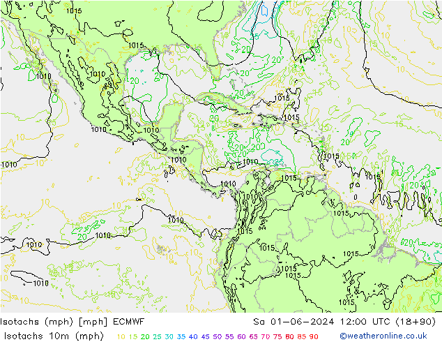 Isotachs (mph) ECMWF Sáb 01.06.2024 12 UTC