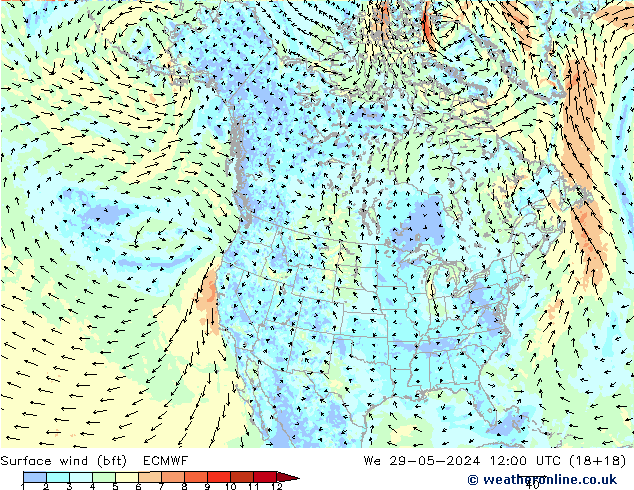 Wind 10 m (bft) ECMWF wo 29.05.2024 12 UTC