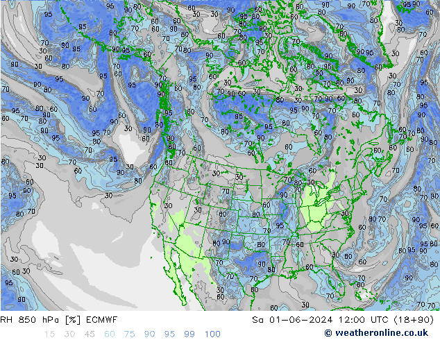 RH 850 hPa ECMWF Sa 01.06.2024 12 UTC