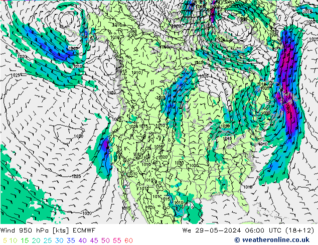  950 hPa ECMWF  29.05.2024 06 UTC