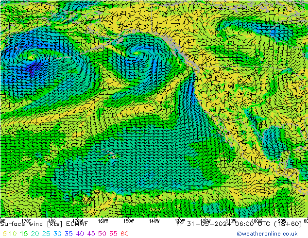  10 m ECMWF  31.05.2024 06 UTC