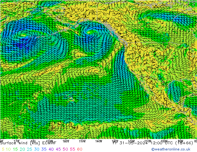 Wind 10 m ECMWF vr 31.05.2024 12 UTC