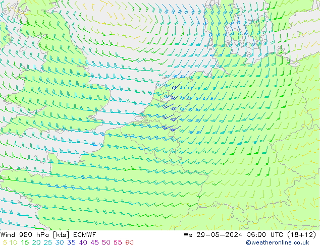 Viento 950 hPa ECMWF mié 29.05.2024 06 UTC