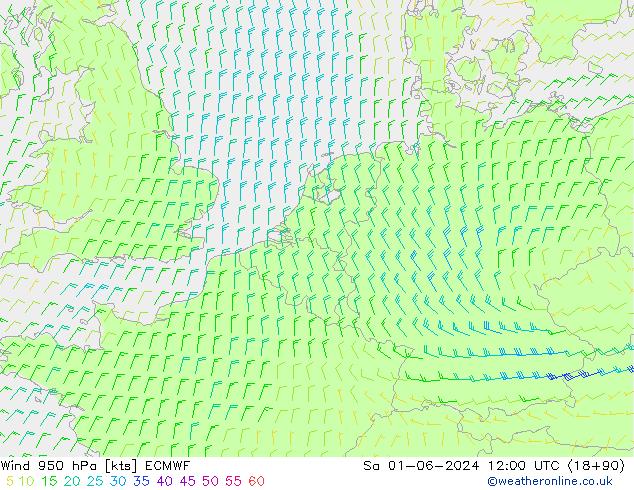 Wind 950 hPa ECMWF Sa 01.06.2024 12 UTC