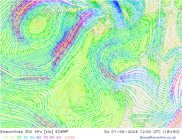 Rüzgar 300 hPa ECMWF Cts 01.06.2024 12 UTC