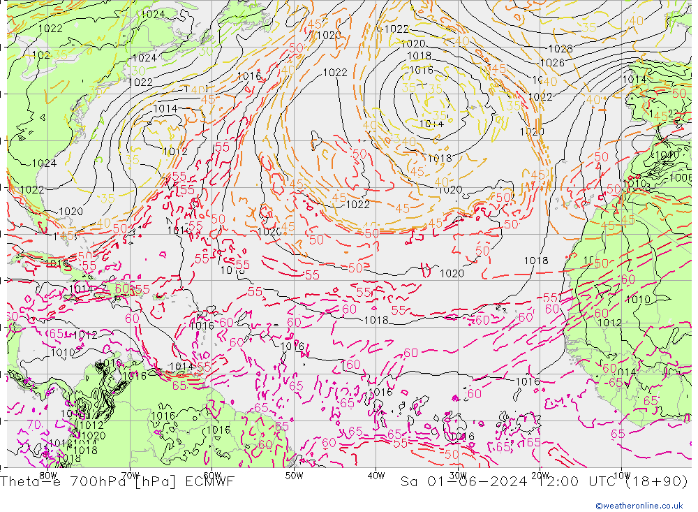 Theta-e 700hPa ECMWF sáb 01.06.2024 12 UTC