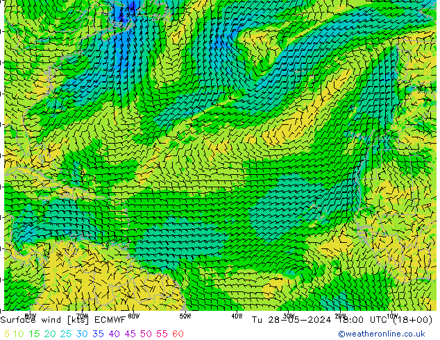 Surface wind ECMWF Tu 28.05.2024 18 UTC