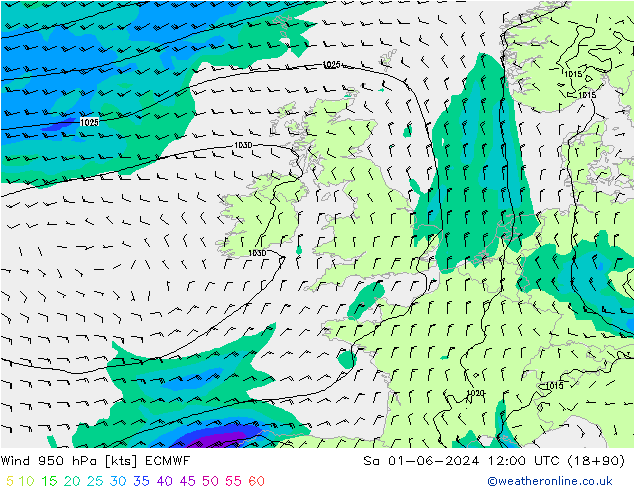 Viento 950 hPa ECMWF sáb 01.06.2024 12 UTC