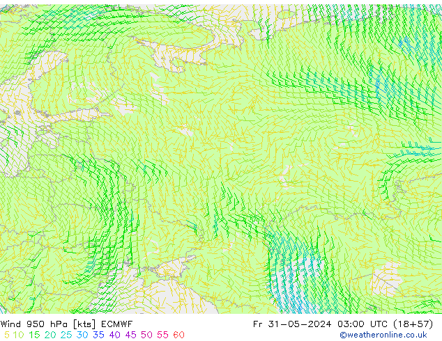 Wind 950 hPa ECMWF Pá 31.05.2024 03 UTC