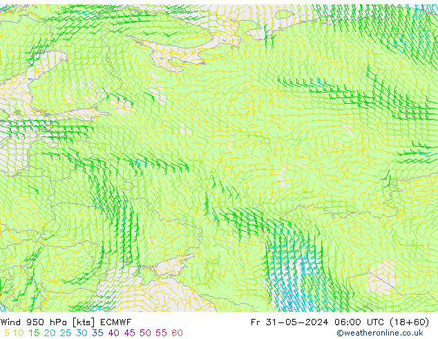 Wind 950 hPa ECMWF Pá 31.05.2024 06 UTC