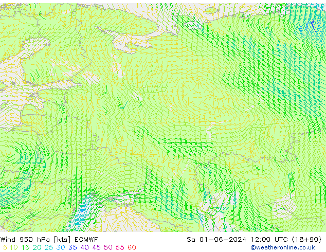 Wind 950 hPa ECMWF za 01.06.2024 12 UTC