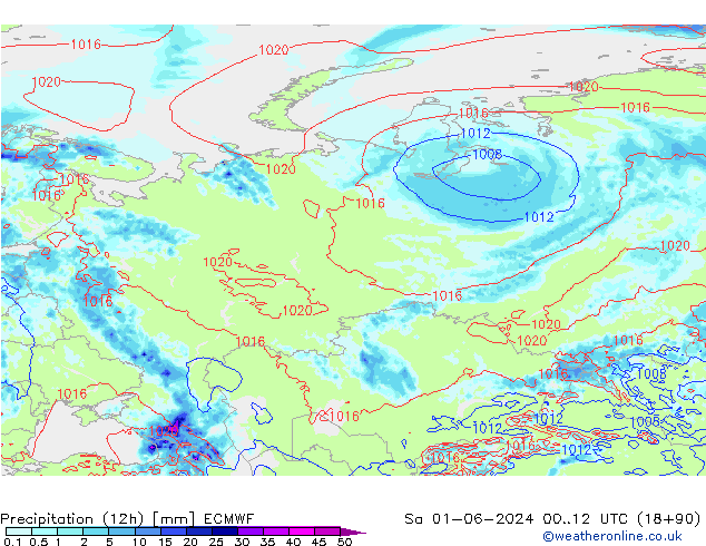 Yağış (12h) ECMWF Cts 01.06.2024 12 UTC