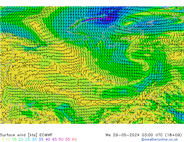 Vento 10 m ECMWF Qua 29.05.2024 03 UTC