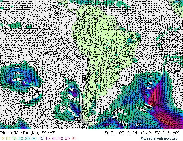 Vento 950 hPa ECMWF ven 31.05.2024 06 UTC