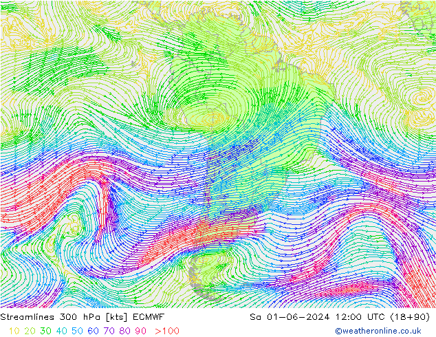 Stroomlijn 300 hPa ECMWF za 01.06.2024 12 UTC