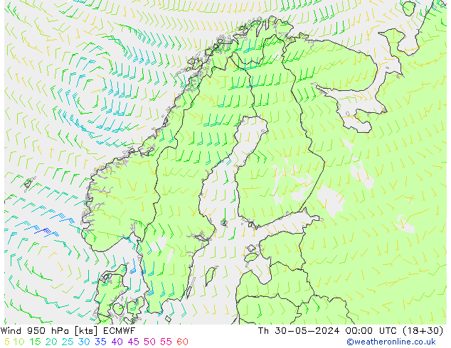  950 hPa ECMWF  30.05.2024 00 UTC