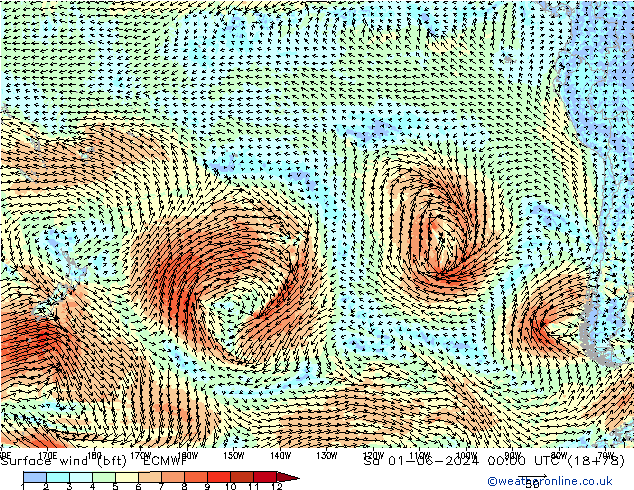 Wind 10 m (bft) ECMWF za 01.06.2024 00 UTC