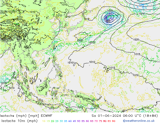 Isotachs (mph) ECMWF sam 01.06.2024 06 UTC