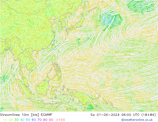 Linha de corrente 10m ECMWF Sáb 01.06.2024 06 UTC