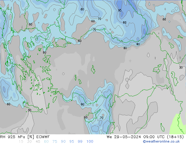 RH 925 гПа ECMWF ср 29.05.2024 09 UTC