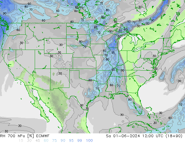 RH 700 hPa ECMWF Sáb 01.06.2024 12 UTC