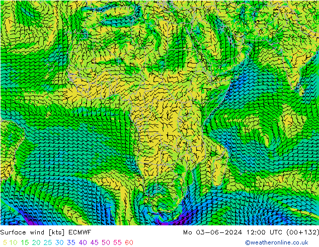 Vent 10 m ECMWF lun 03.06.2024 12 UTC