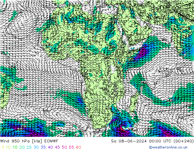 Wind 950 hPa ECMWF Sa 08.06.2024 00 UTC