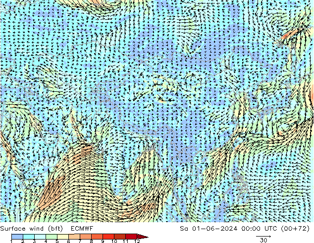 Surface wind (bft) ECMWF Sa 01.06.2024 00 UTC