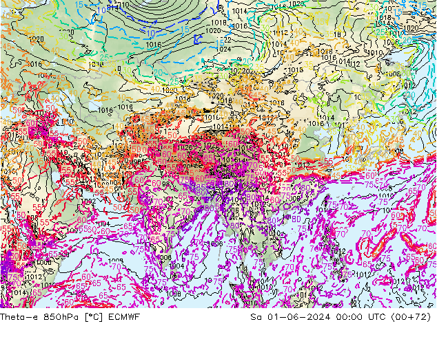 Theta-e 850hPa ECMWF Sa 01.06.2024 00 UTC