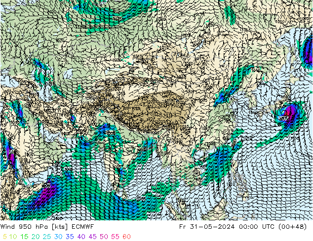 Wind 950 hPa ECMWF Fr 31.05.2024 00 UTC