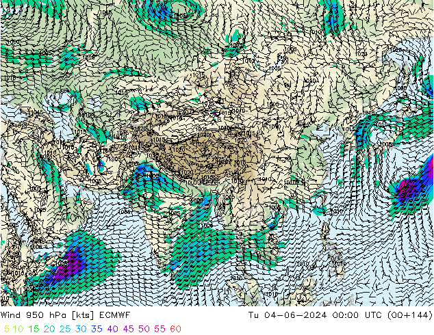  950 hPa ECMWF  04.06.2024 00 UTC