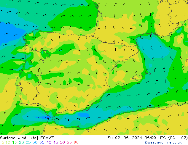 Wind 10 m ECMWF zo 02.06.2024 06 UTC