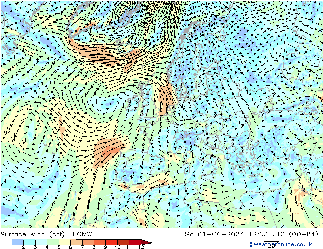 Wind 10 m (bft) ECMWF za 01.06.2024 12 UTC