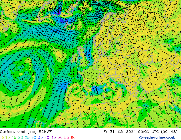 Vento 10 m ECMWF ven 31.05.2024 00 UTC