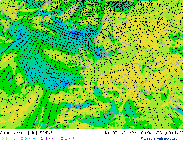 Surface wind ECMWF Mo 03.06.2024 00 UTC