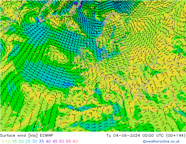  10 m ECMWF  04.06.2024 00 UTC