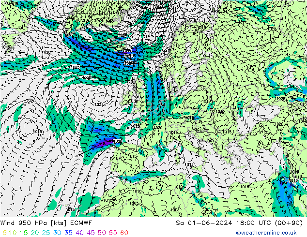 wiatr 950 hPa ECMWF so. 01.06.2024 18 UTC